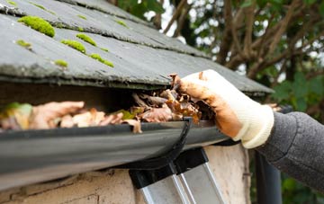 gutter cleaning Leagreen, Hampshire