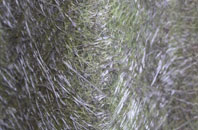 Leagreen fibreglass roof work